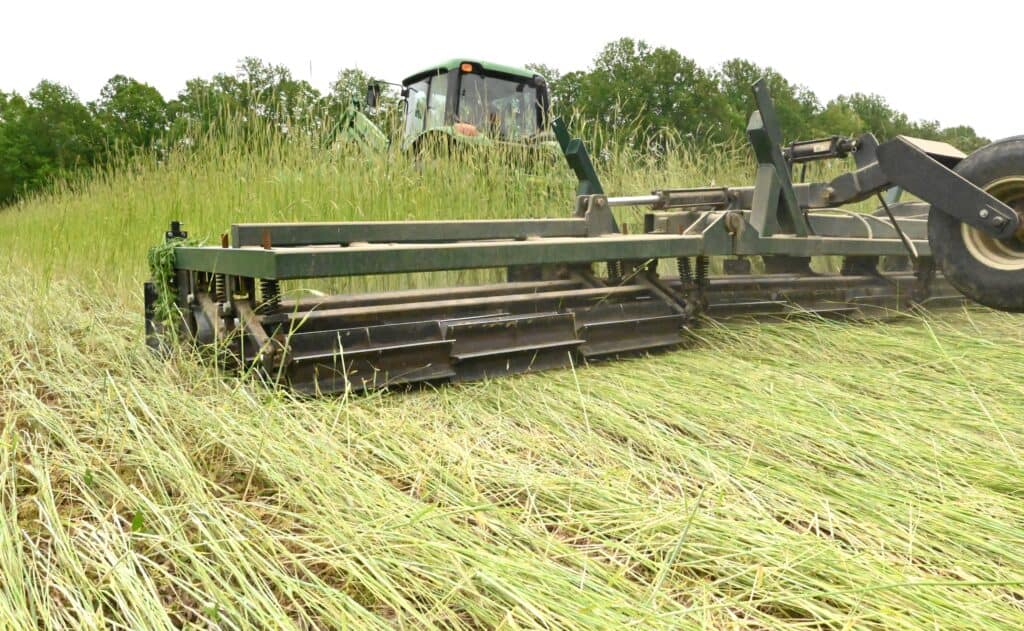 Close-up of a mechanical weed control tool attached to a tractor working in a grassy field.