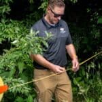 WSSA board member examining plants in a lush, green outdoor setting, wearing sunglasses and a WSSA-branded polo shirt, during a field research activity.