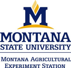 Graduate research assistant working in weed science at Montana State University Agricultural Experiment Station.